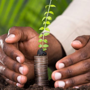 Investment Monitoring and Reporting